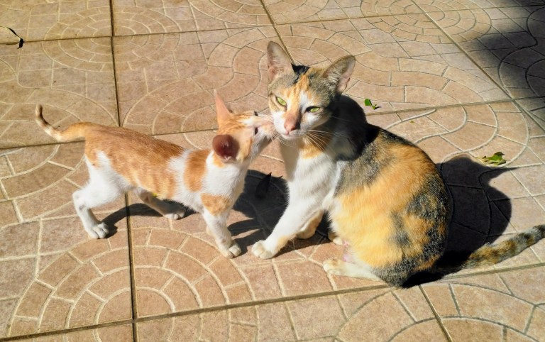 img_20180112_093124~2