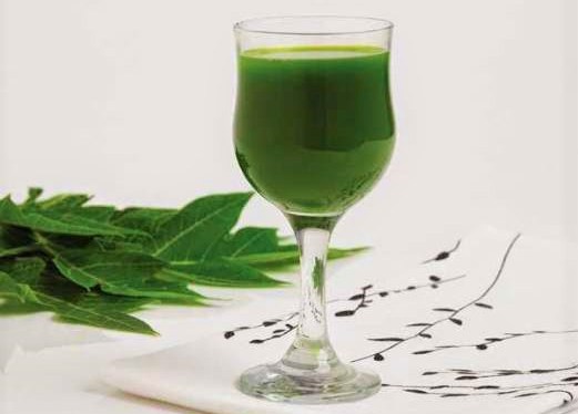 Time to Help Dengue Sufferers Using Papaya Leaf&nbsp;Juice