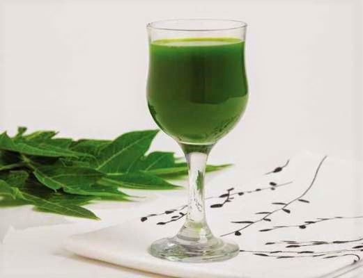 PapayaJuiceDailyHuntIn