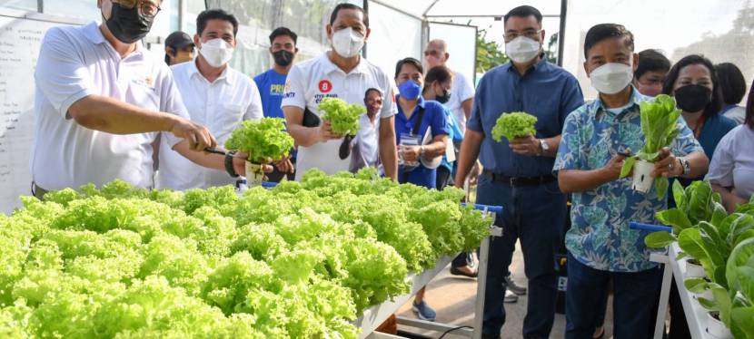 Muntinlupa City Government launches Cityhood Harvest event in City Demo Farm, the first LGU-operated intensive hydroponics in&nbsp;NCR