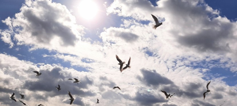 Stop living as a worldly person and come to Lord&nbsp;Jesus